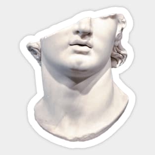 Broken Greek Bust- Fragmentary colossal head of a youth Sticker